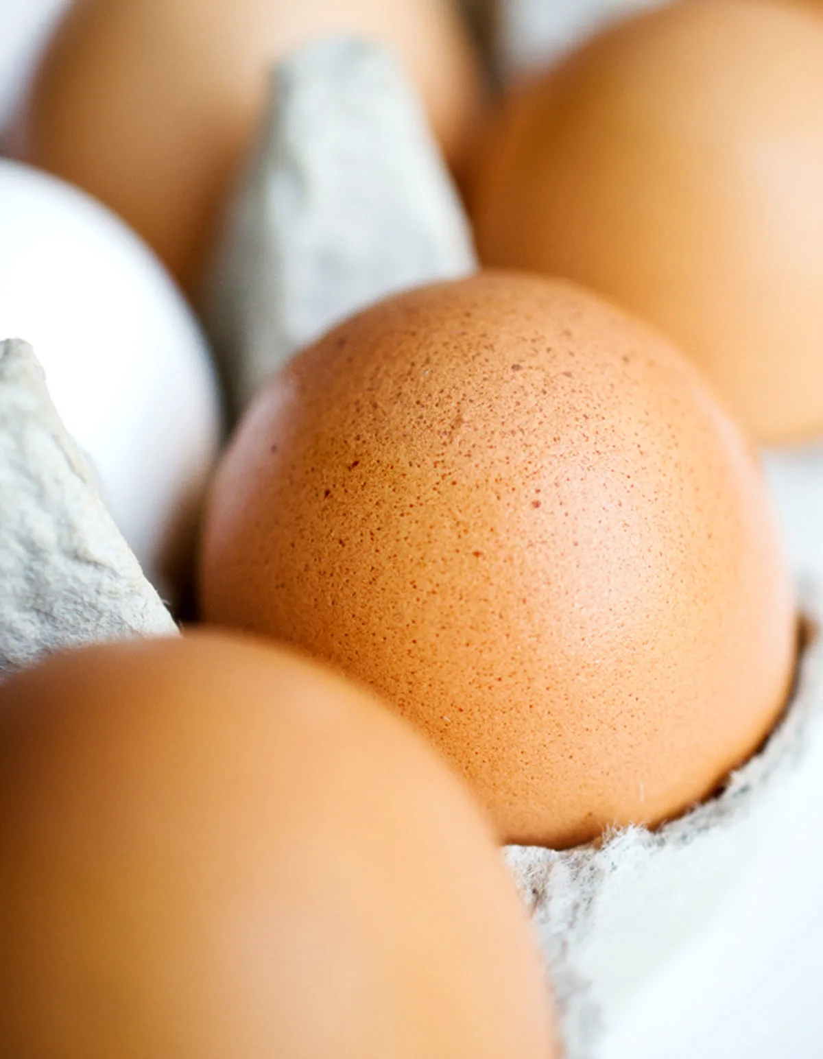 Closeup photo of a brown egg