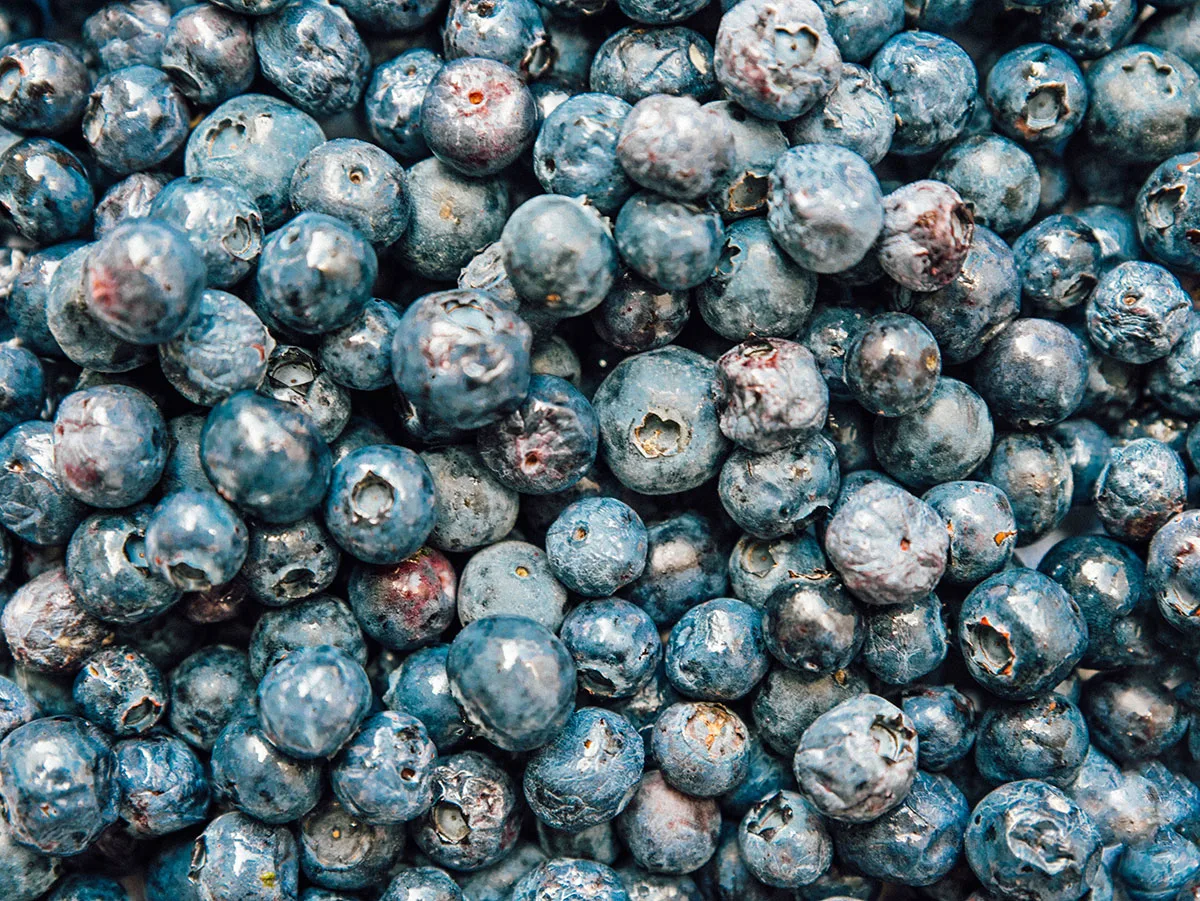 A close up picture displaying the texture and color variety of blueberries