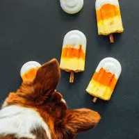 Halloween themed dog popsicles