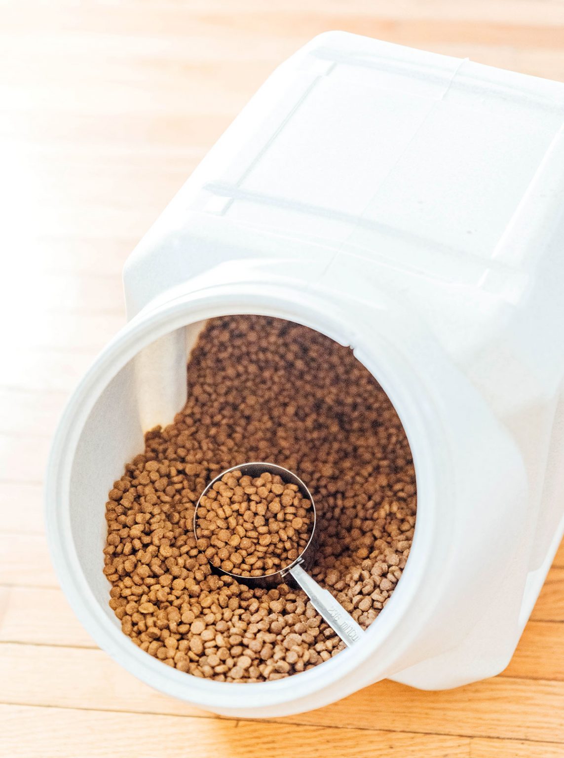 How To Store Dog Food (Are You Making These Mistakes?) Bone Appetreat