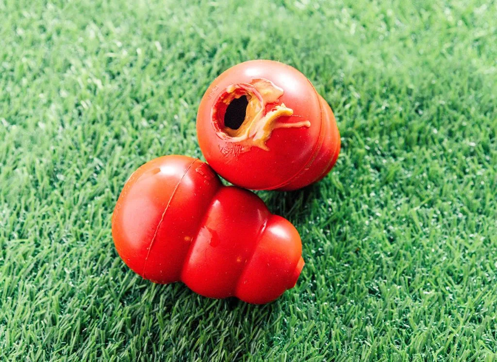 Two KONGs resting on grass, one of which is filled with peanut butter