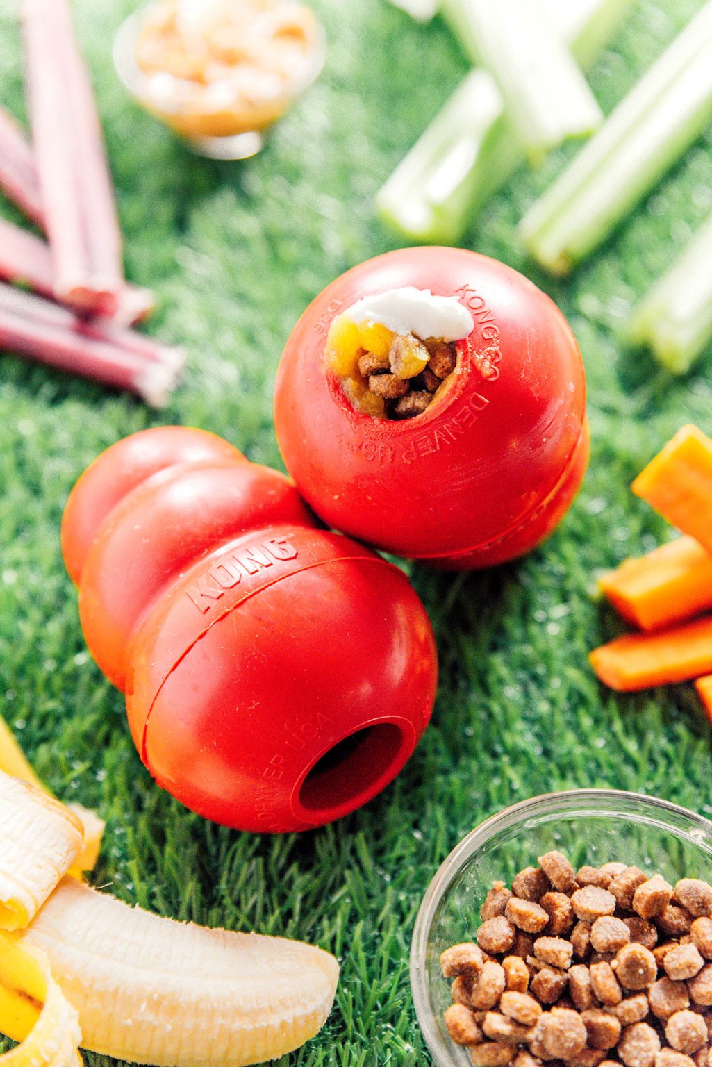 The Ultimate KONG Dog Toy Recipes Guide Bone Appétreat