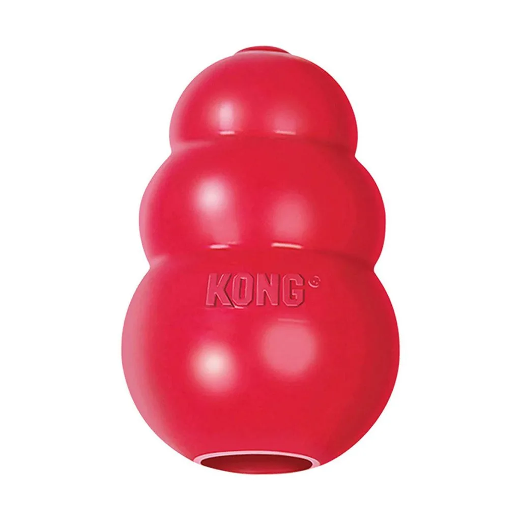 A KONG toy on a white background