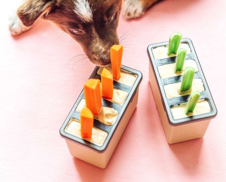 Homemade Dog Popsicles Bone Appetreat
