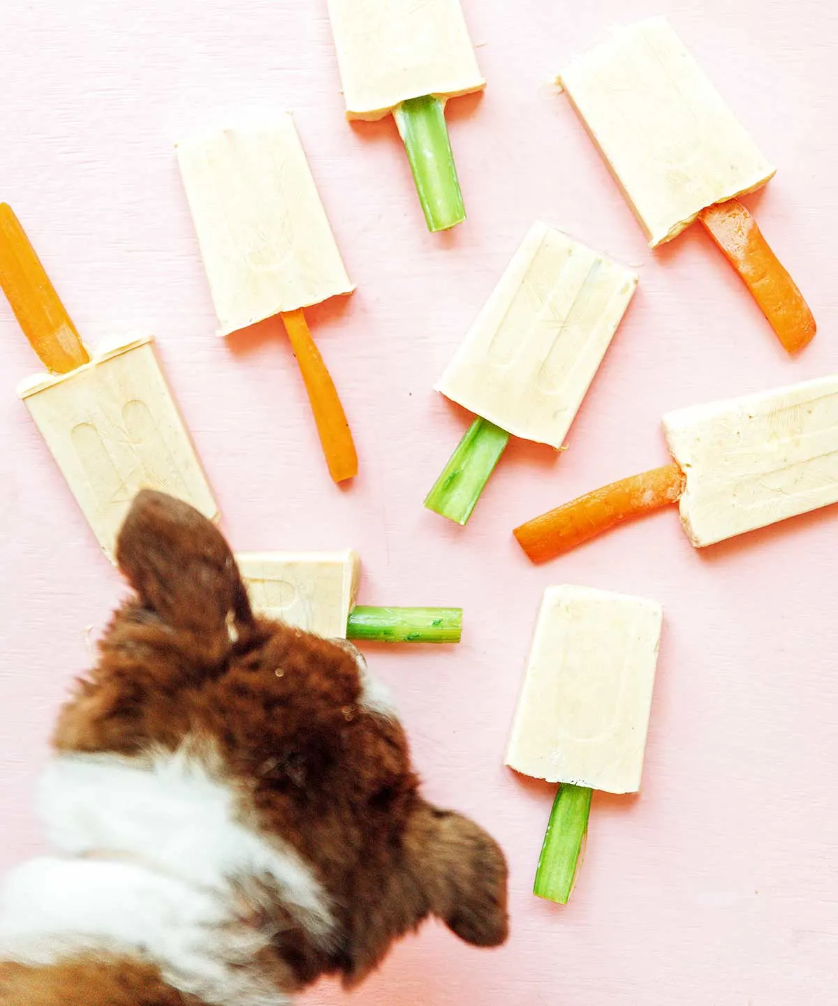 Overhead shot of pupsicles using carrots and celery for popsicle sticks