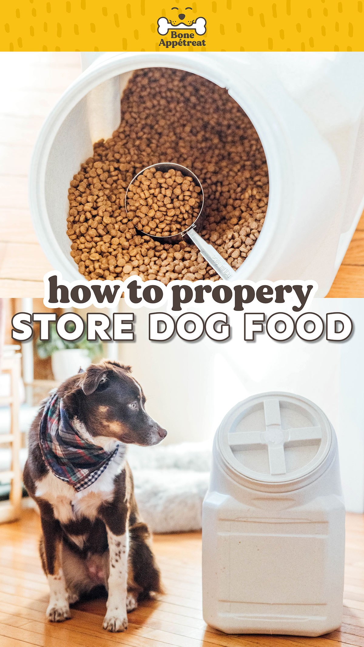 How To Store Dog Food (Are You Making These Mistakes?) Bone Appetreat