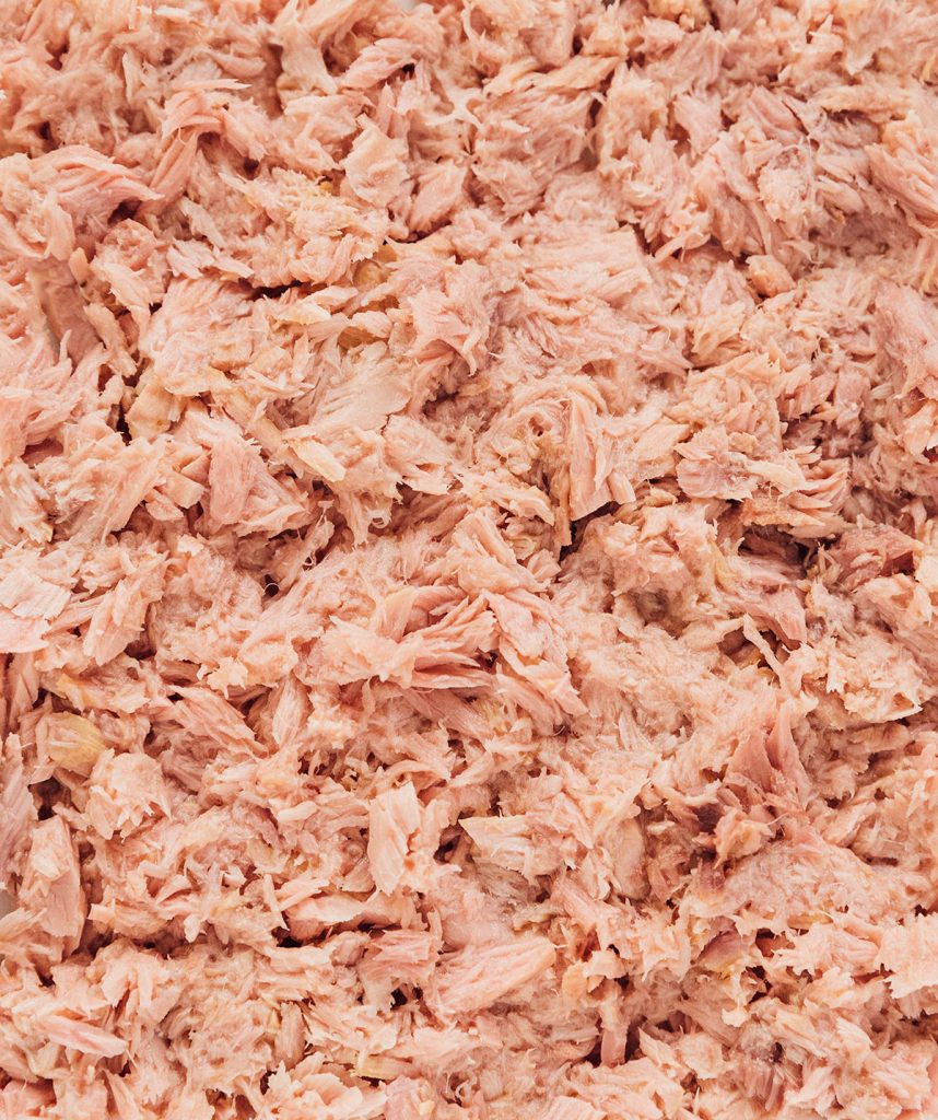 Close up picture of canned tuna meat.