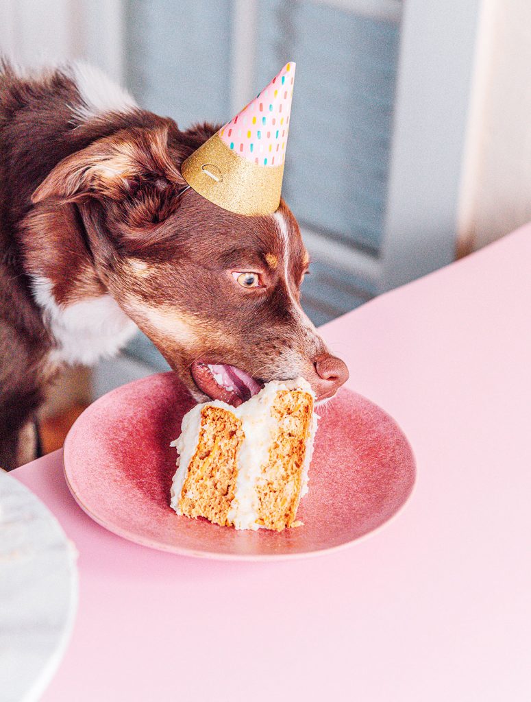 Dog eating a slice of cake on a pink plate.