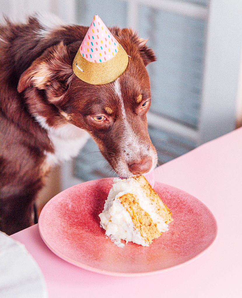 A dog licking the frosting off of a slice of cake on a pink plate while wearing a party hat.