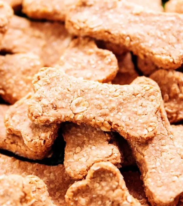 cropped-healthy-dog-biscuit-treats-13.jpg