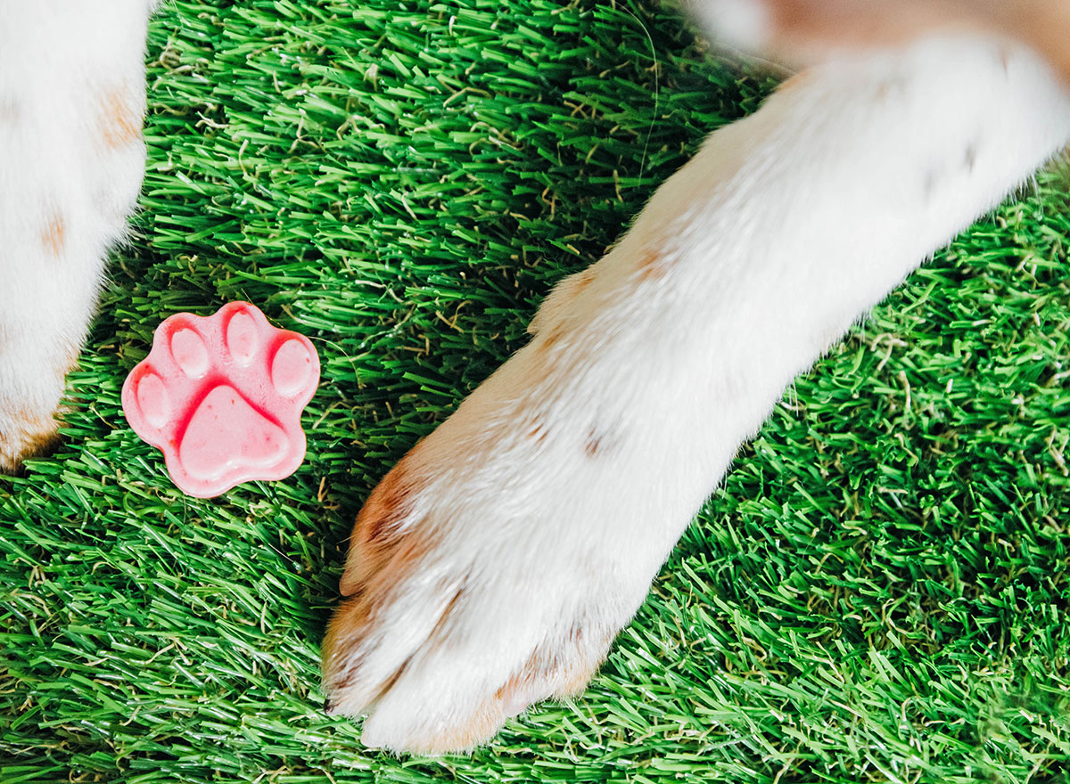 Dog paws sitting on grass with a strawberry frozen dog treat in between the paws.
