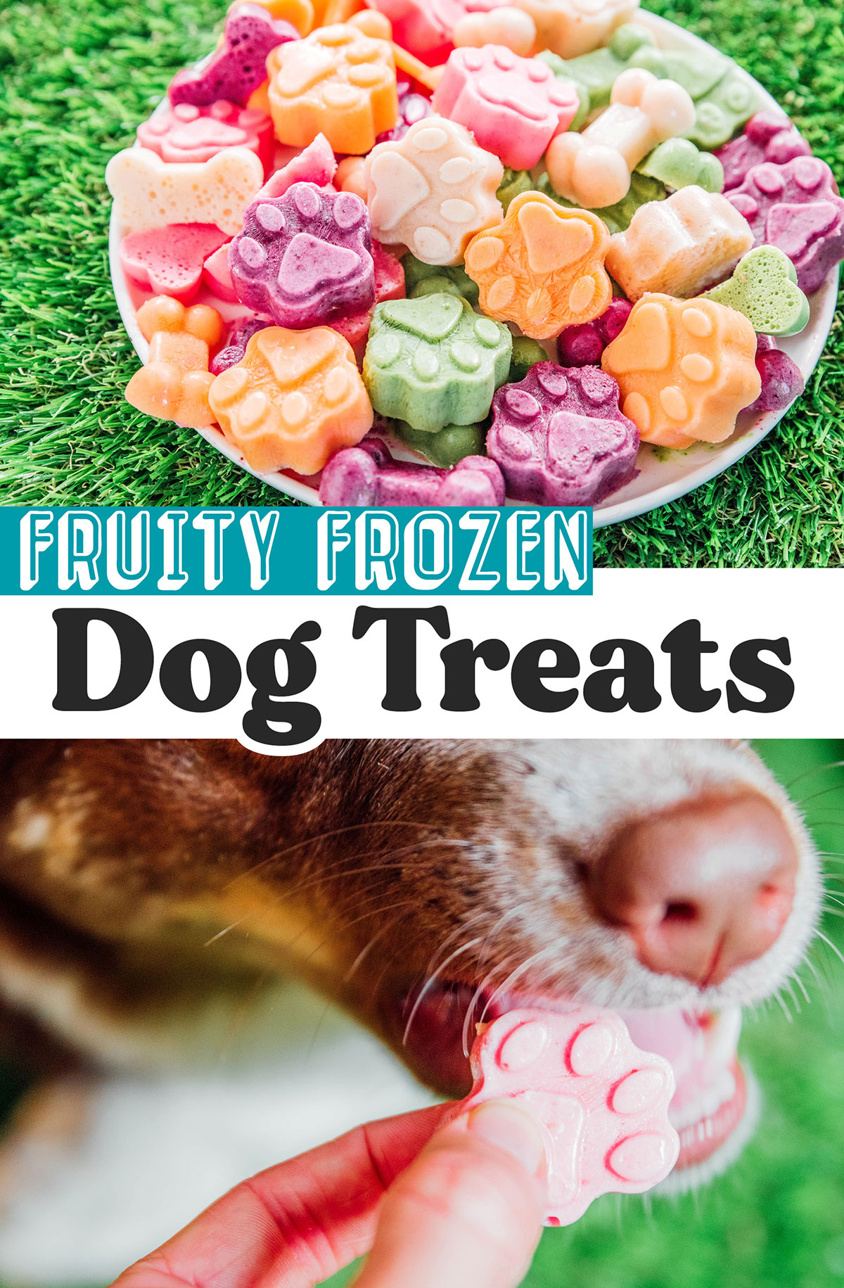 Easy Frozen Dog Treats (5 Ways!) Bone Appetreat