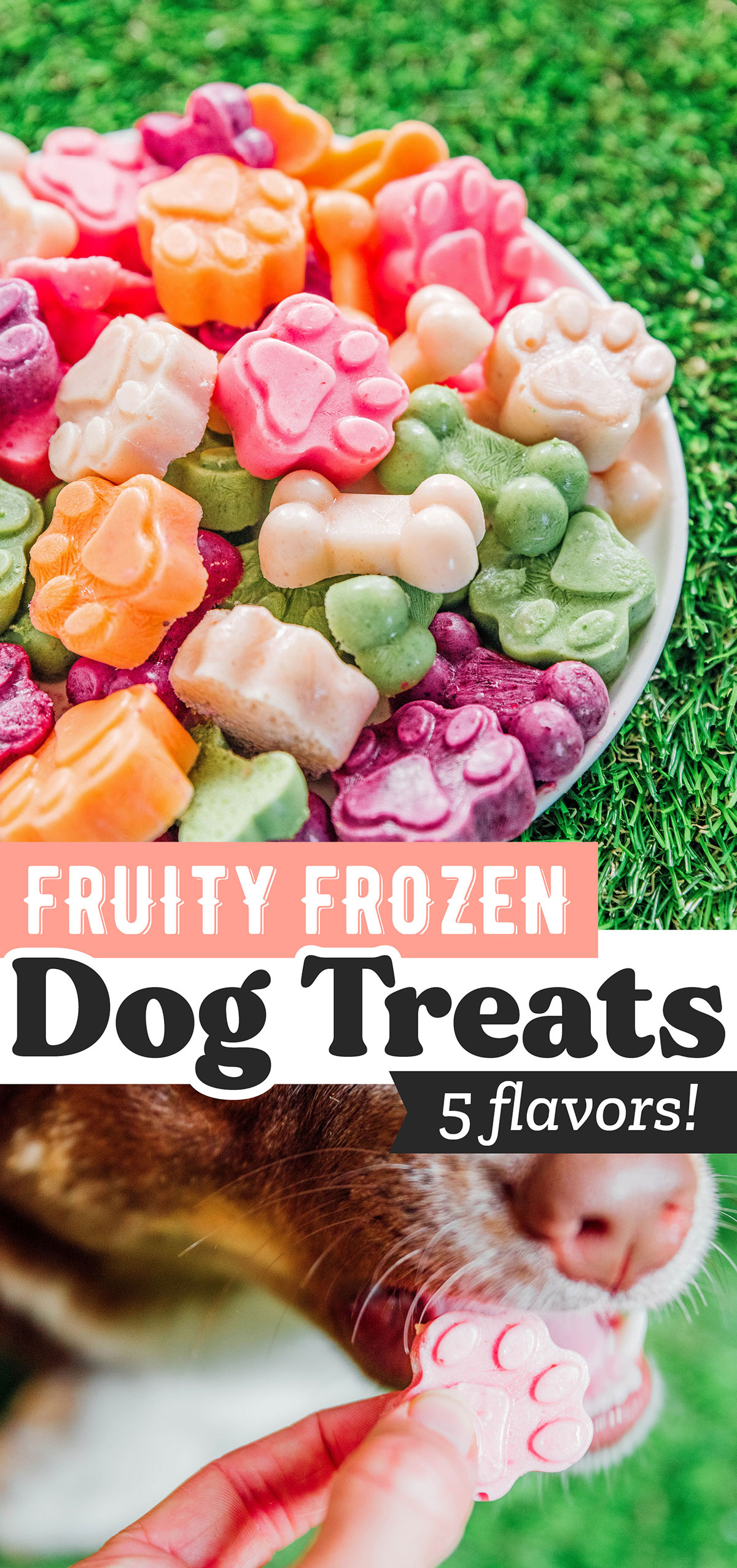 Easy Frozen Dog Treats (5 Ways!) Bone Appetreat