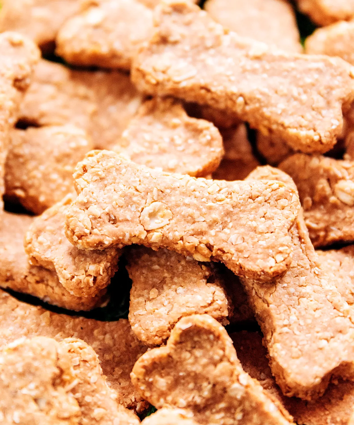 Close up of dog biscuit in a pile of biscuits.