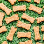 Bone shaped dog biscuits on grass