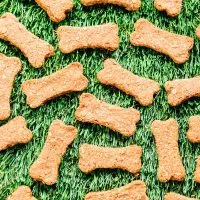 Bone shaped dog biscuits on grass