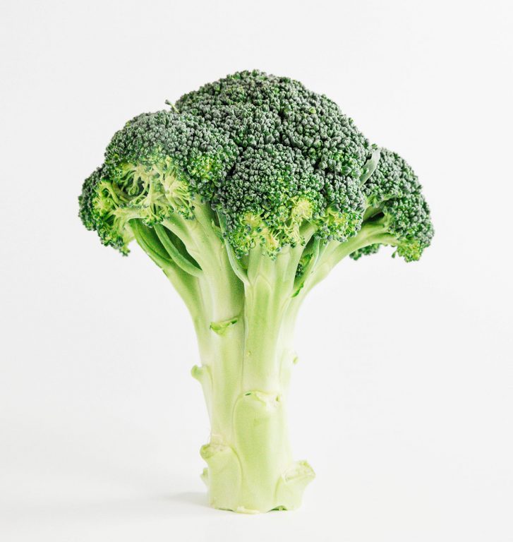 Can Dogs Eat Broccoli? (Risks & Health Benefits) Bone Appetreat