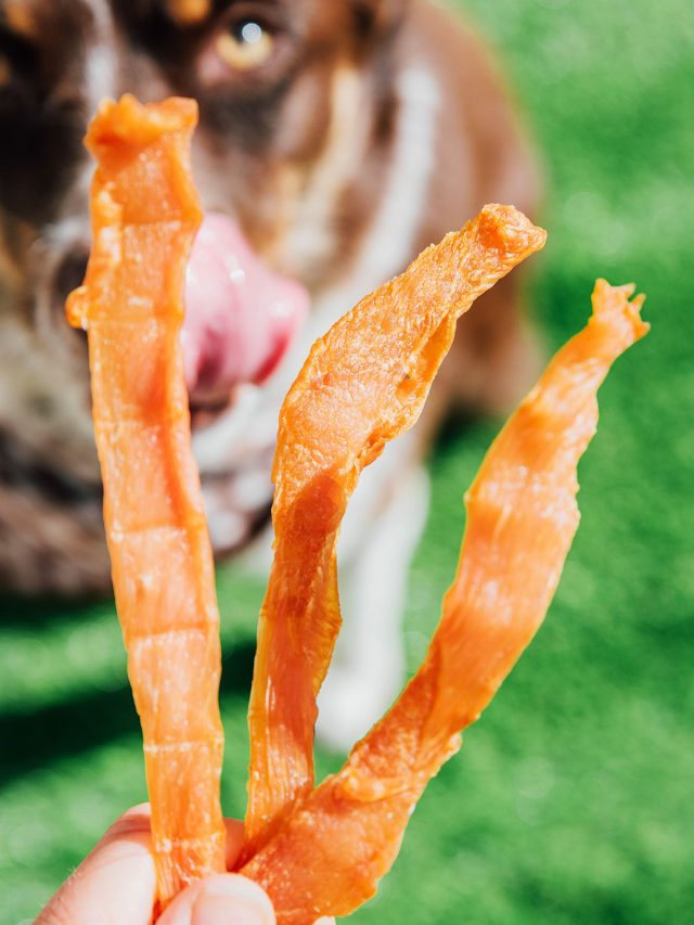 How To Make Jerky (For Dogs)