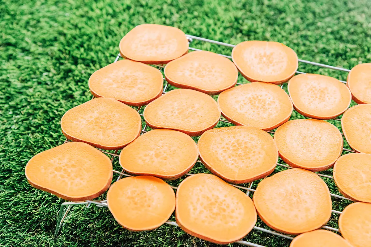 Sweet potato round slices laid out on a wire baking rack.