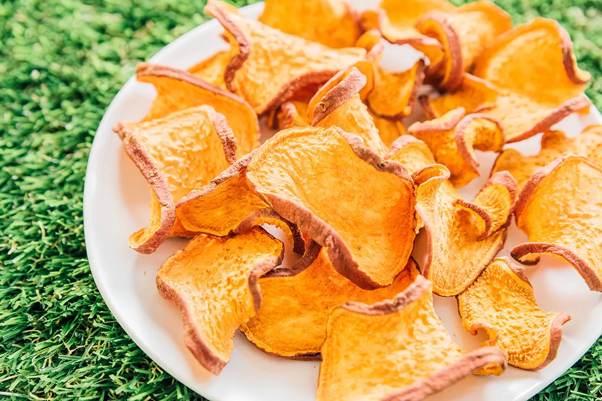 A plate of dried sweet potato treats on grass.