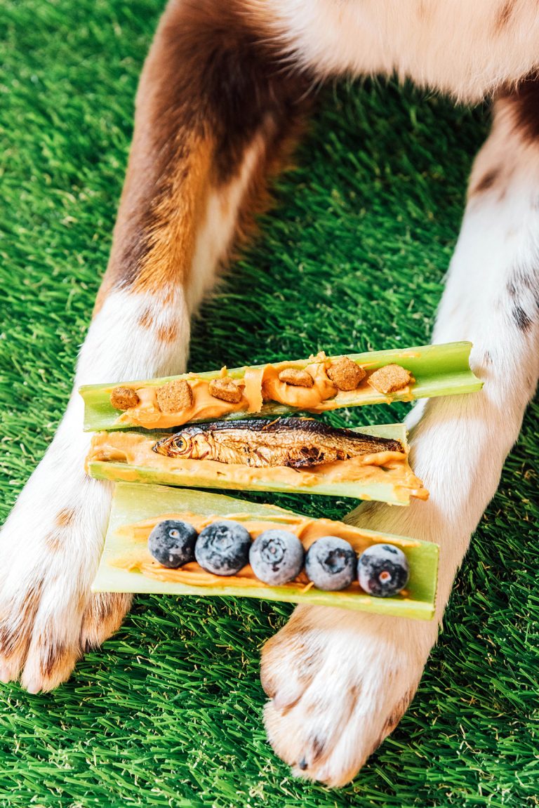 Frozen Peanut Butter Stuffed Celery For Dogs Bone Appetreat