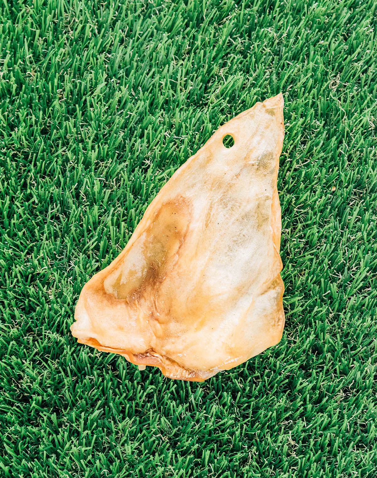 golden brown cow ear laying on grass.