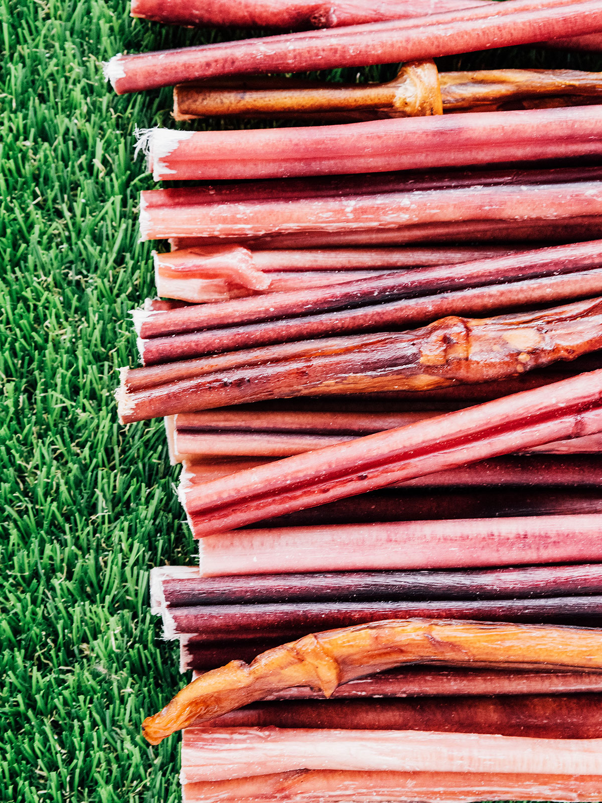 Bully sticks lines up next to each other on grass.