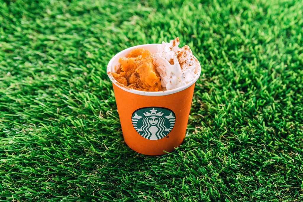 Pumpkin Spice Latte pup cup with whipped cream, pumpkin, and cinnamon in a starbucks cup.
