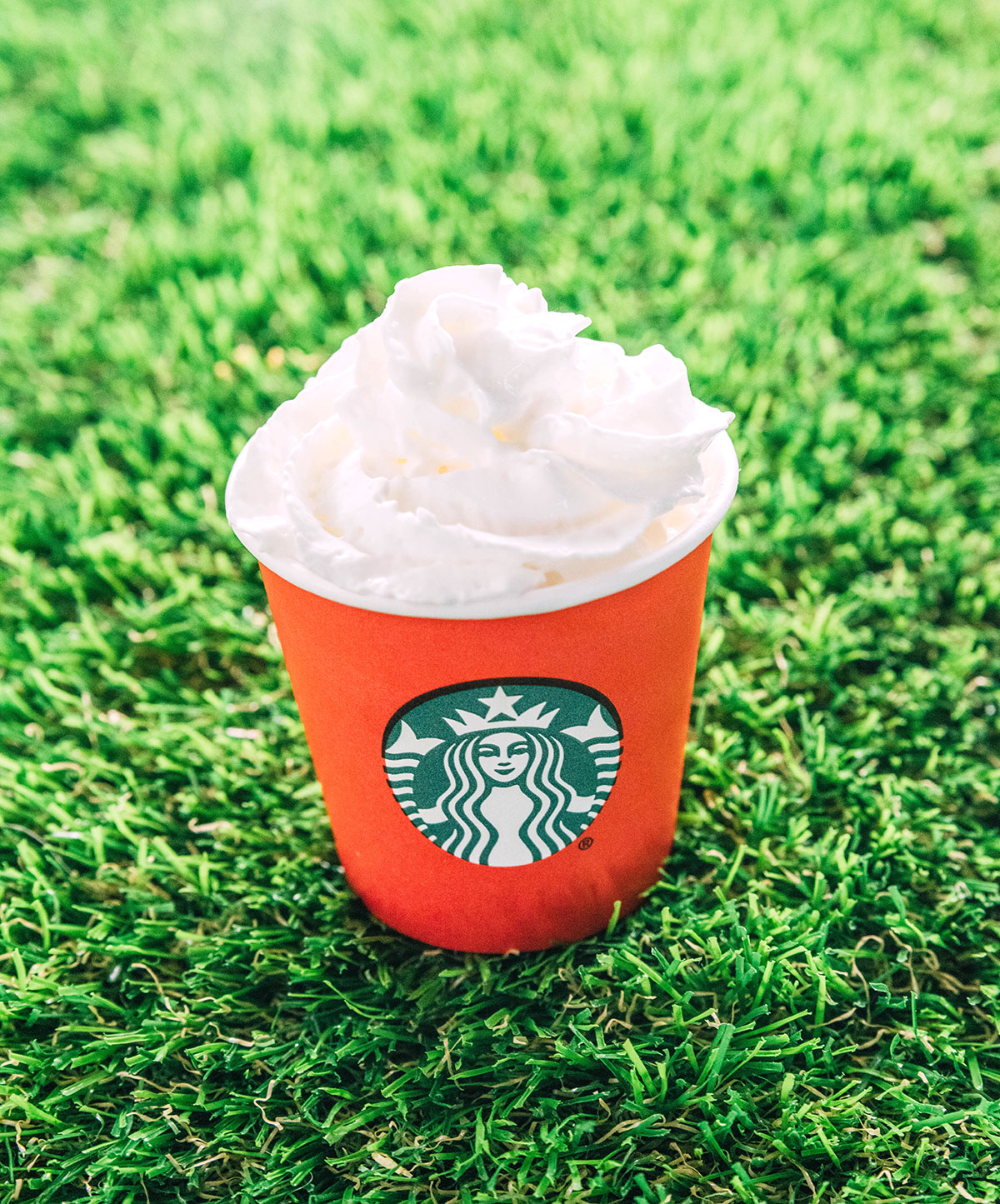 Starbucks pup cup.