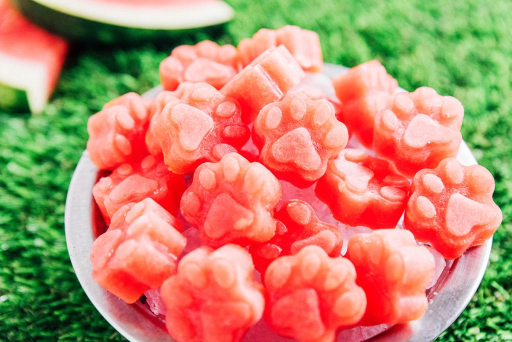 A bowl of bright red watermelon dog treats.