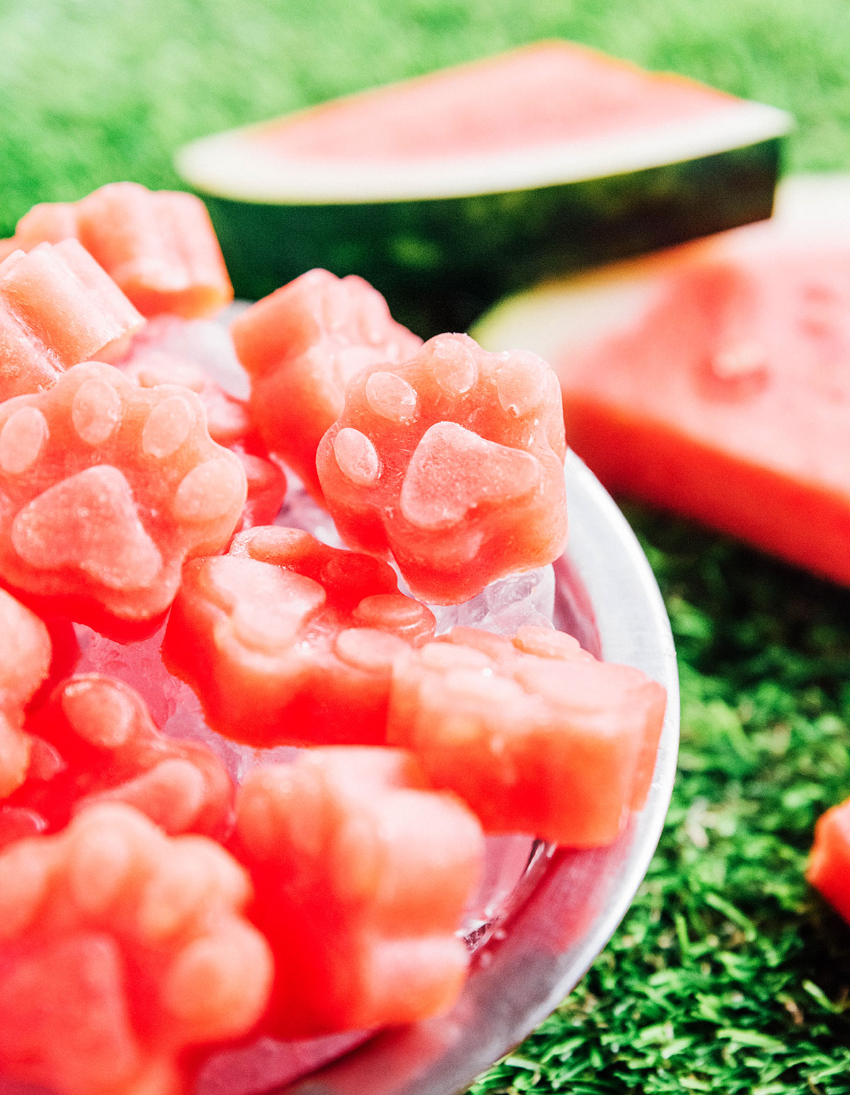 Close up image of paw print shaped watermelon treats on ice in a bowl.