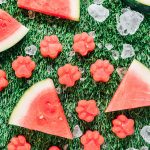 Paw shaped dog treats with watermelon and ice on grass