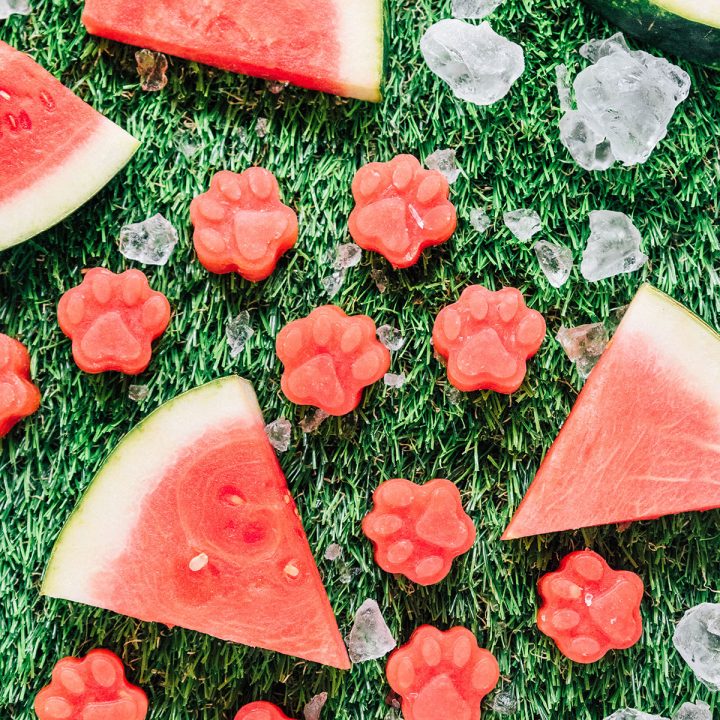 Paw shaped dog treats with watermelon and ice on grass