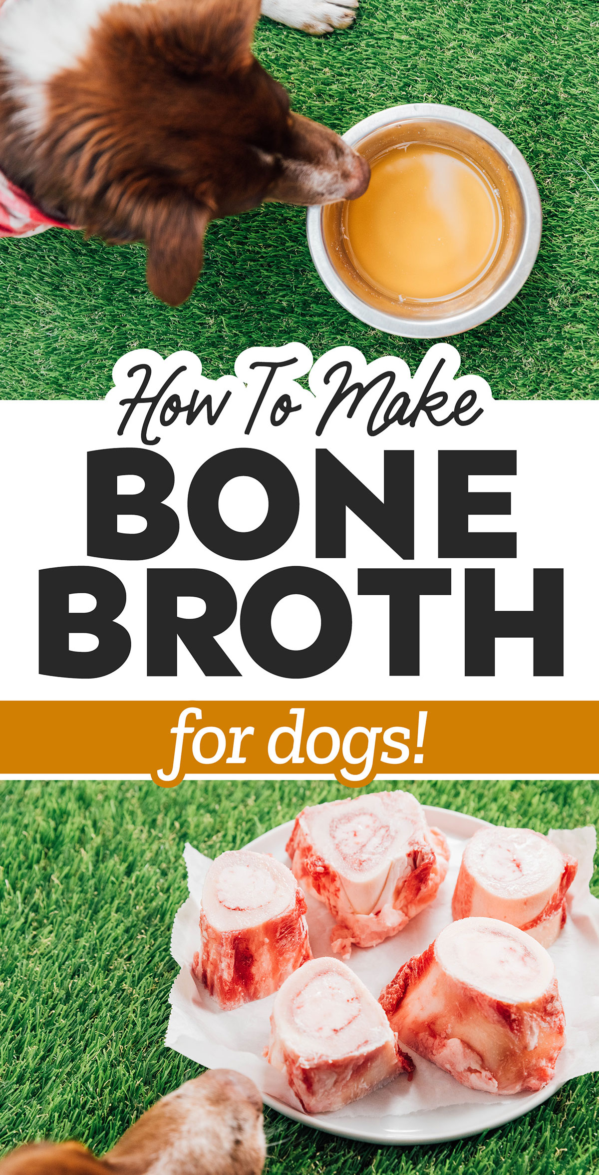 How To Make Bone Broth for Dogs (3 Ingredients) | Bone Appetreat