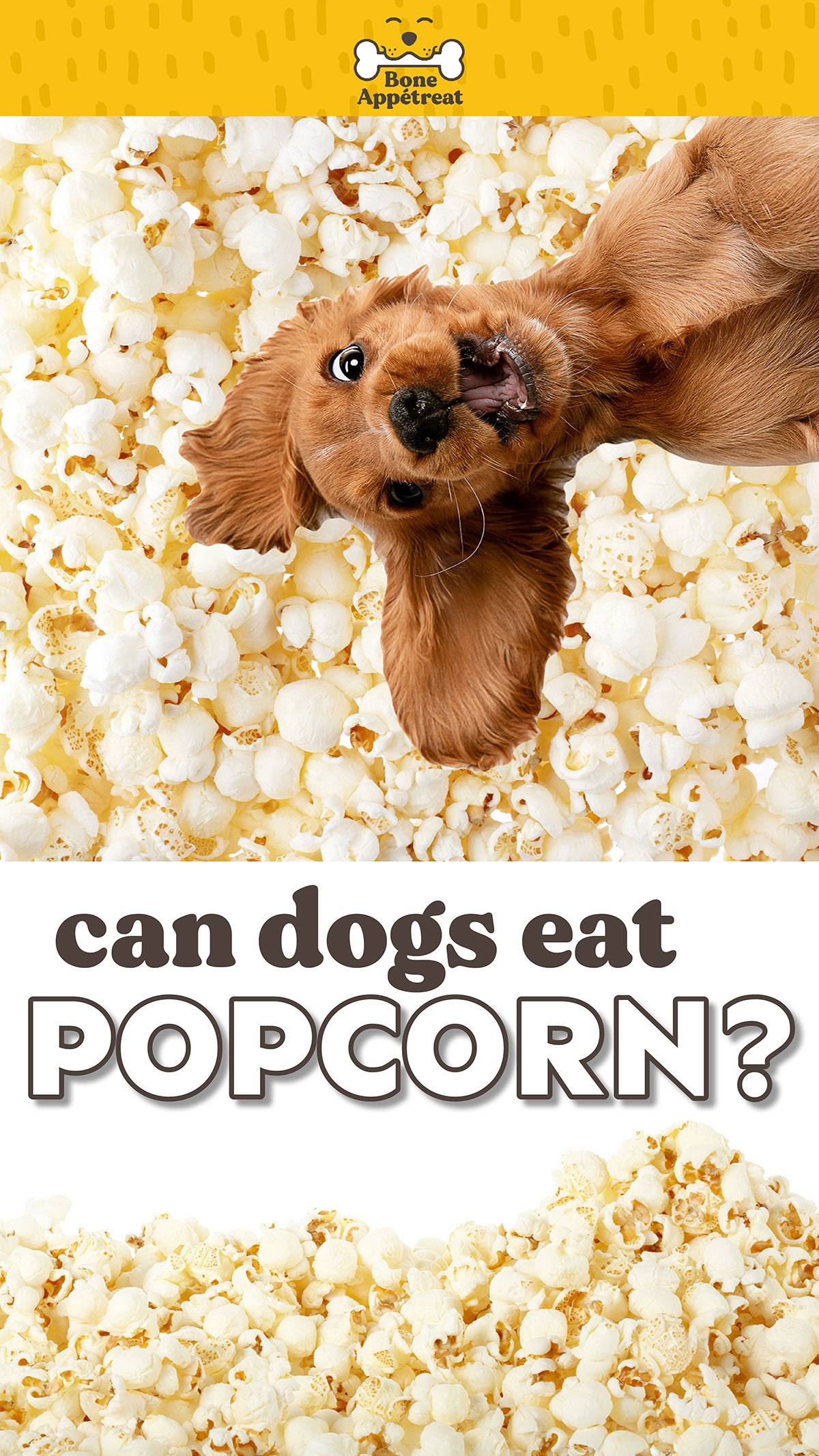 Can Dogs Eat Popcorn? Yes! But Read This First Bone Appetreat