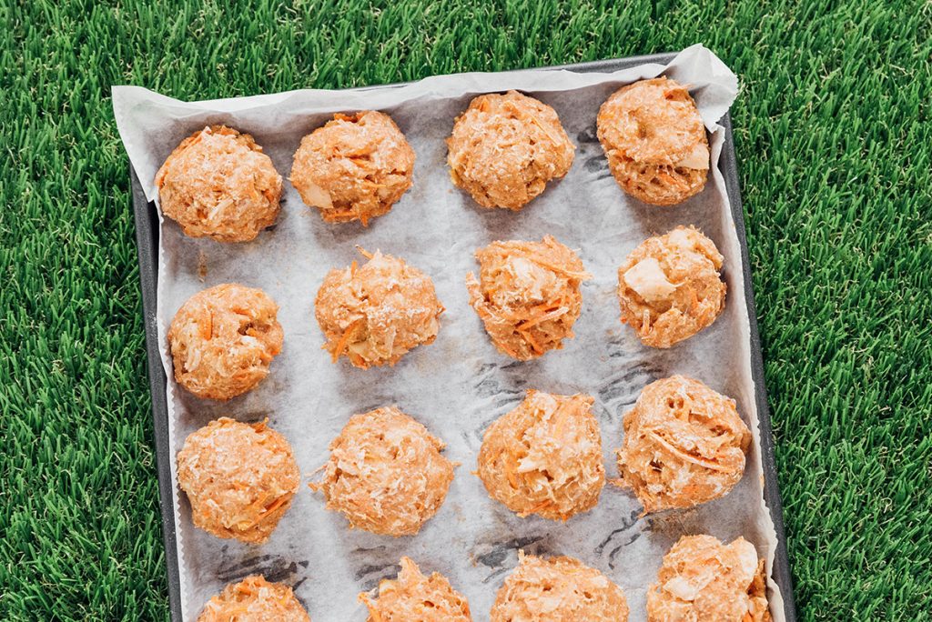 Chicken dog treat balls lined up on parchment paper on a baking tray.