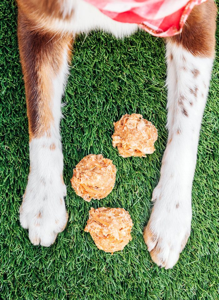 How To Make Chewy Chicken Dog Treats (4 Ingredients) Bone Appetreat