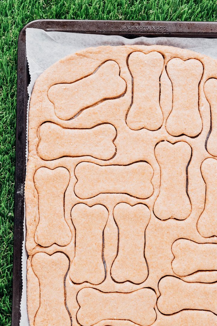 Vegan Dog Treats Recipe (3 Ingredients) Bone Appetreat