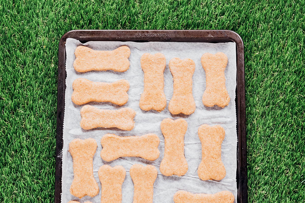 Dog bone treats on a parchment paper lined baking tray.