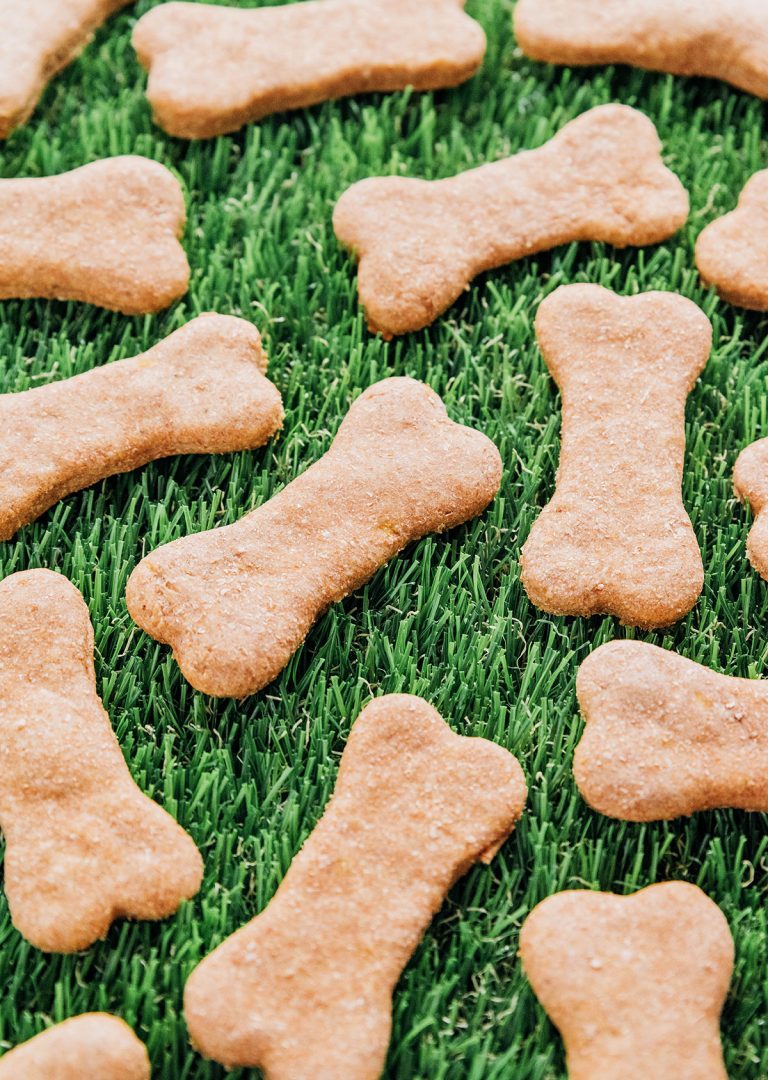 Vegan Dog Treats Recipe (3 Ingredients) Bone Appetreat