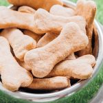 Bone shaped dog treats on a dog bowl on grass.