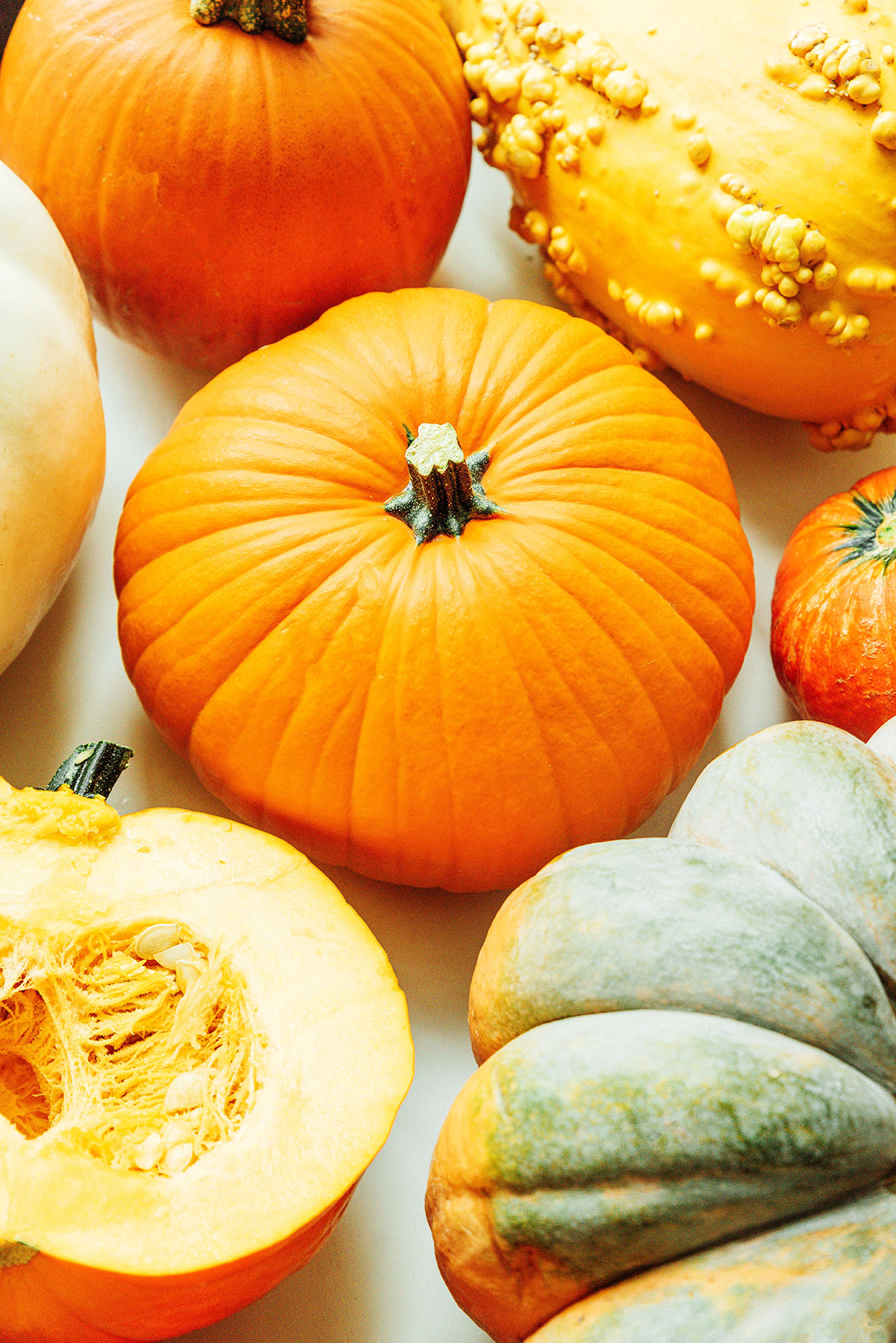 Many types of pumpkins.