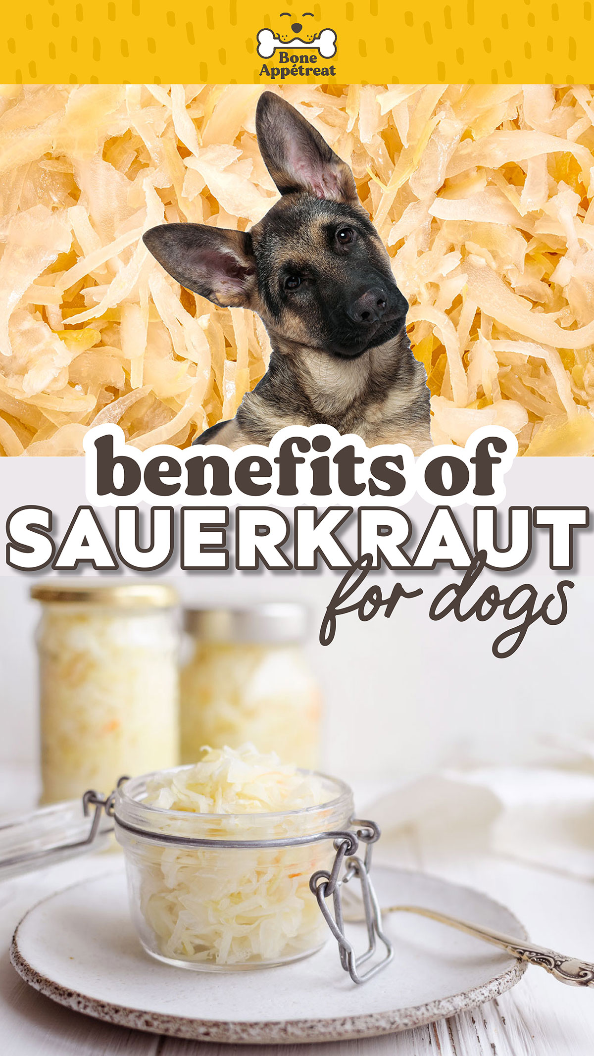 Can Dogs Eat Sauerkraut? (Read Before You Feed) Bone Appetreat
