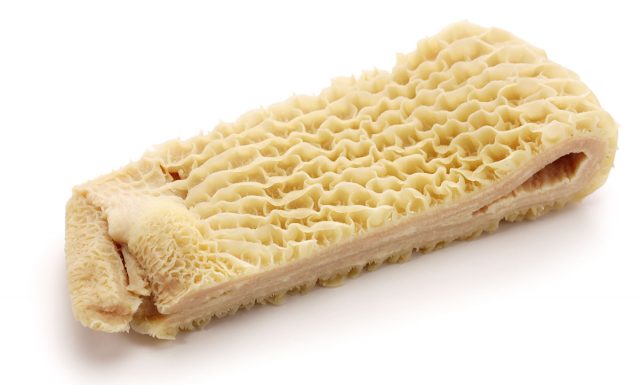 Tripe For Dogs: Types, Benefits, and Feeding Guide | Bone Appetreat