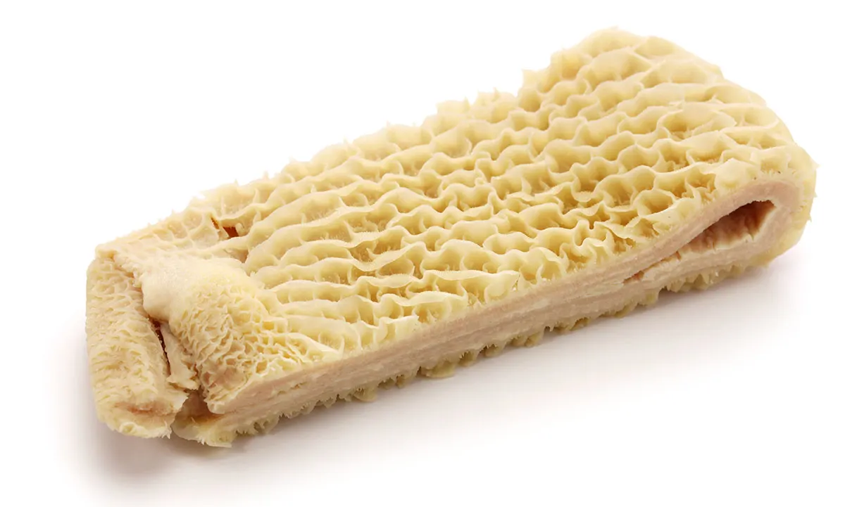 A large piece of tripe that is light tan in color and shows a sponge like texture.