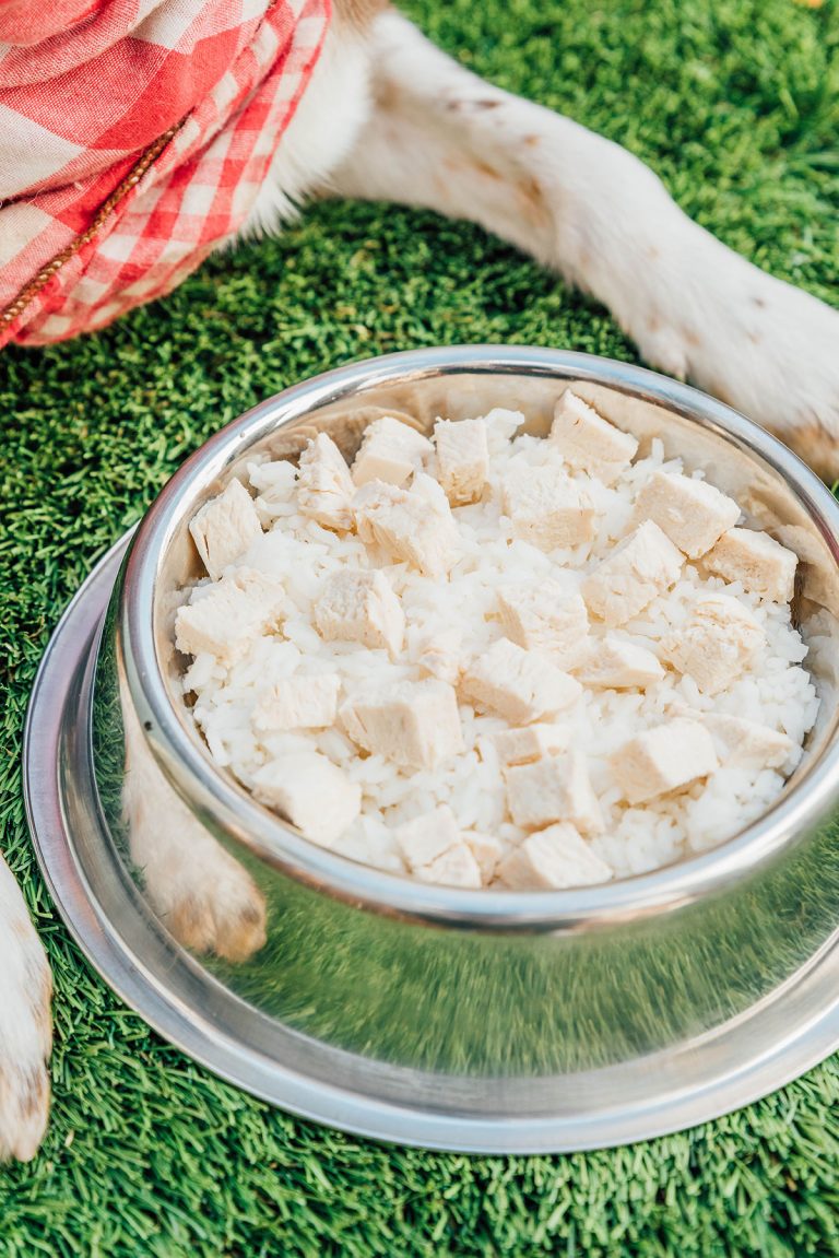 Bland Diet For Dogs (The Comprehensive Guide!) Bone Appetreat