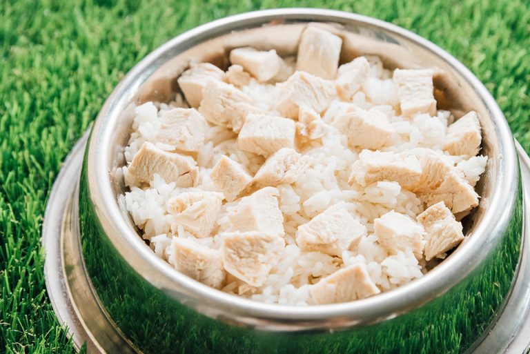 Bland Diet For Dogs (The Comprehensive Guide!) Bone Appetreat