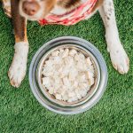 A dog sitting next to a metal bowl of chicken and rice on grass.