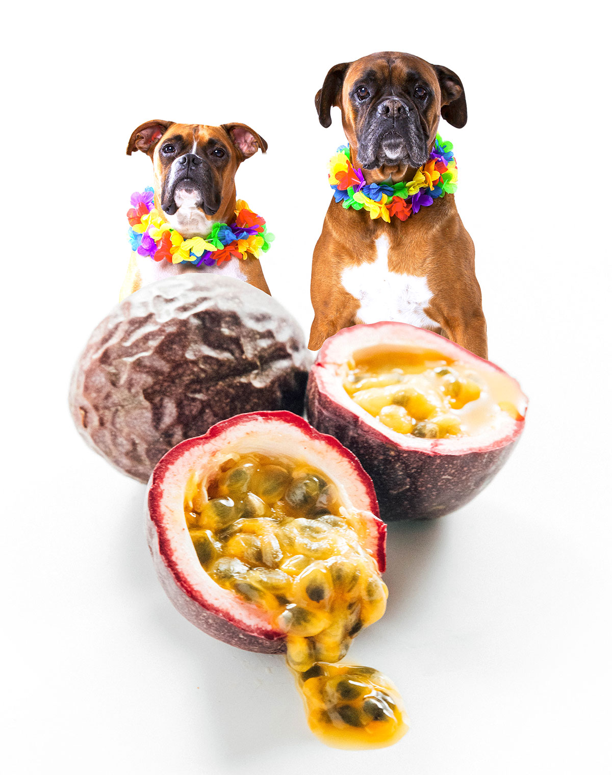 Two Hawaiian dogs with passion fruit.