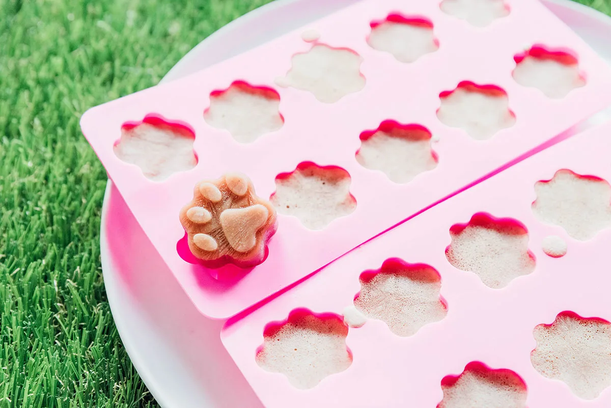 Paw print molds filled with frozen salmon dog treats.